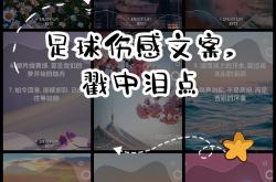 km包网 vip-包含狂欢足球盛事：球场上的欢笑与泪水的词条