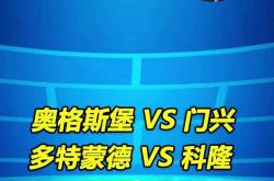 km包网 vip-门兴主场击败科隆，继续保持不败