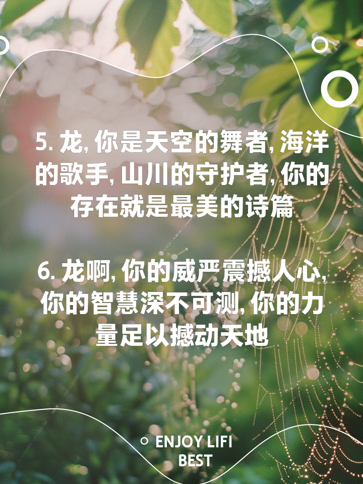 港口龙腾：江东龙腾身手矫健，豪取连胜的简单介绍